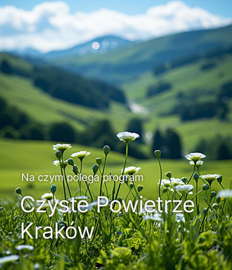 Czyste Powietrze Kraków