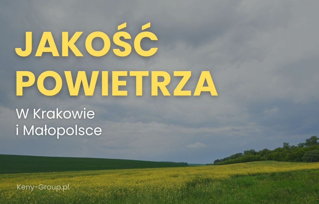 Jakość powietrza w&nbsp;Małopolsce: Co&nbsp;powoduje smog i&nbsp;jakie działania są&nbsp;podejmowane?